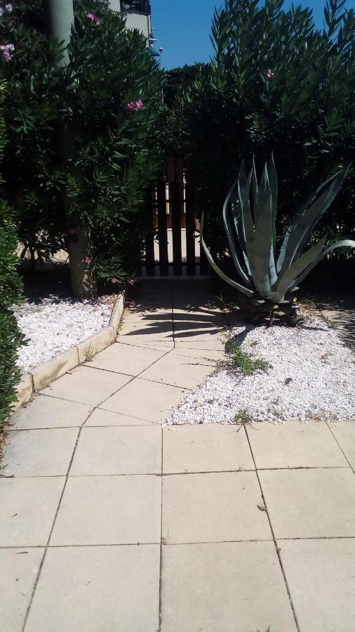 Studio De 27 M² + 70 M² De Jardin A 100 M Des Plages كافالير سور مير المظهر الخارجي الصورة