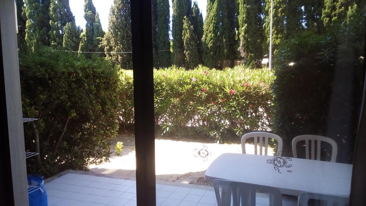 Studio De 27 M² + 70 M² De Jardin A 100 M Des Plages كافالير سور مير المظهر الخارجي الصورة